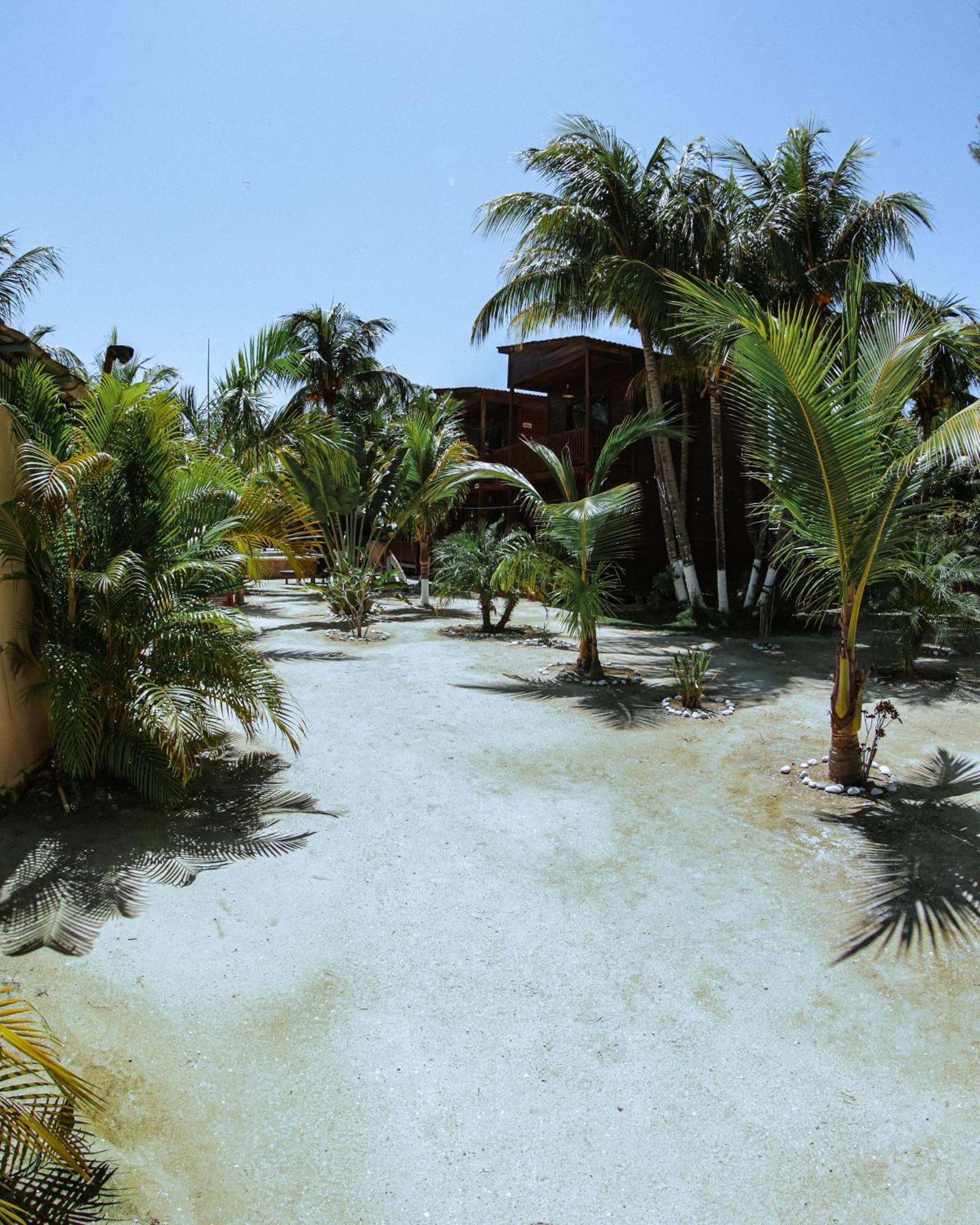 Coconut By Ool Hotels Isla Holbox Kültér fotó