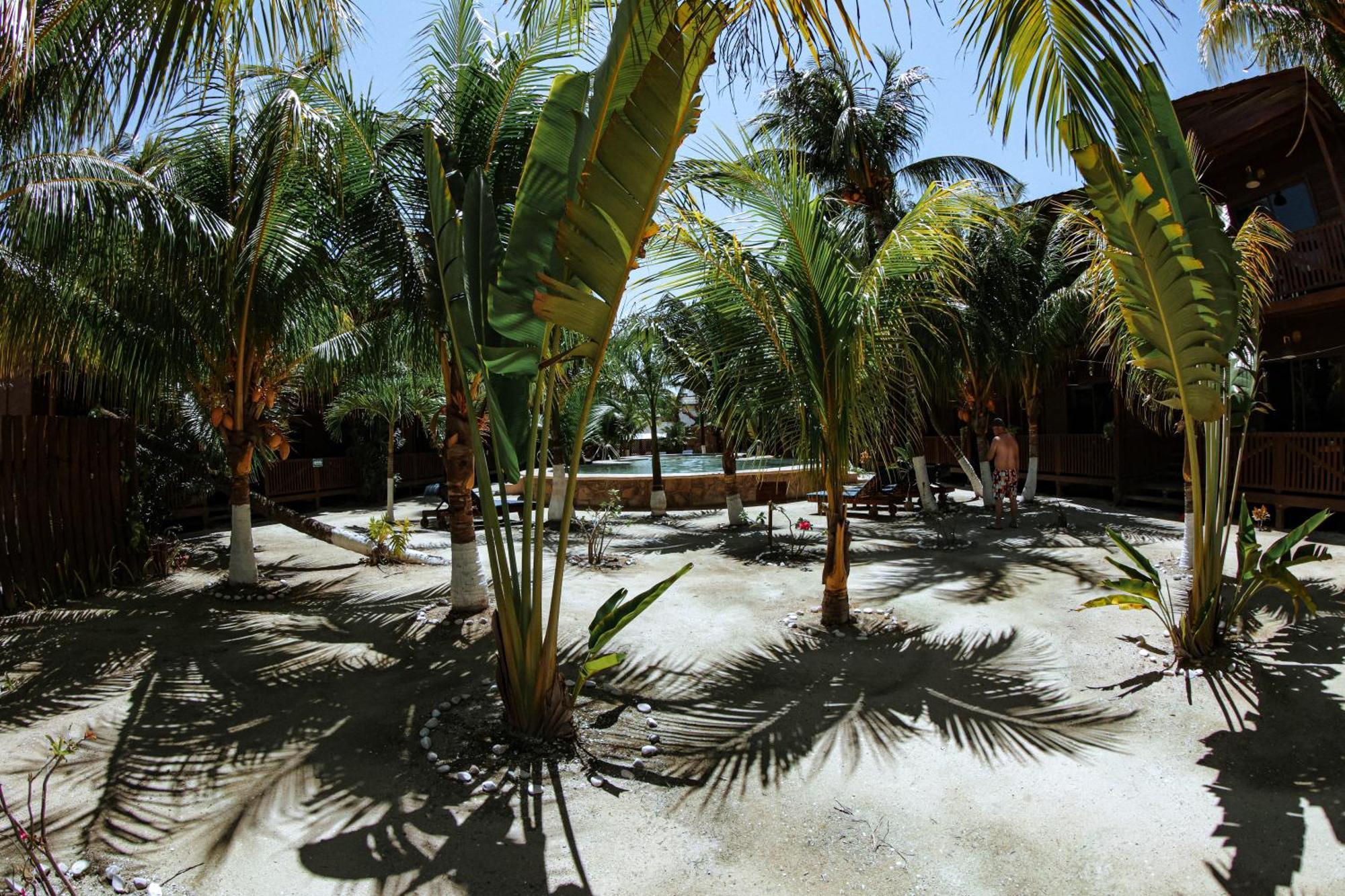 Coconut By Ool Hotels Isla Holbox Kültér fotó